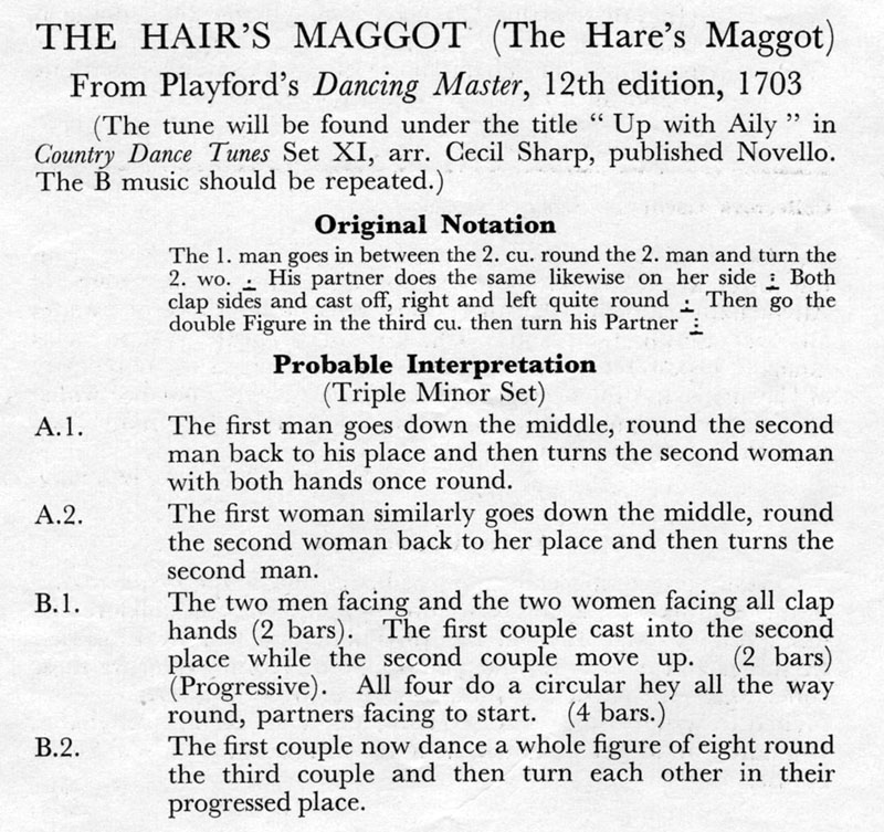 The Hair's Maggot