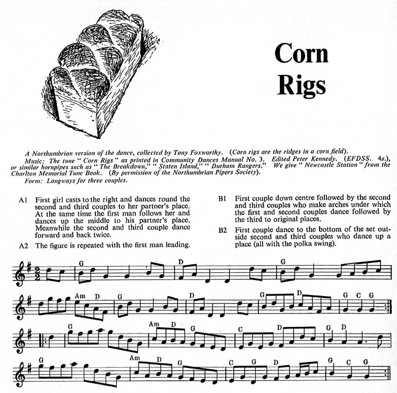 Corn Rigs